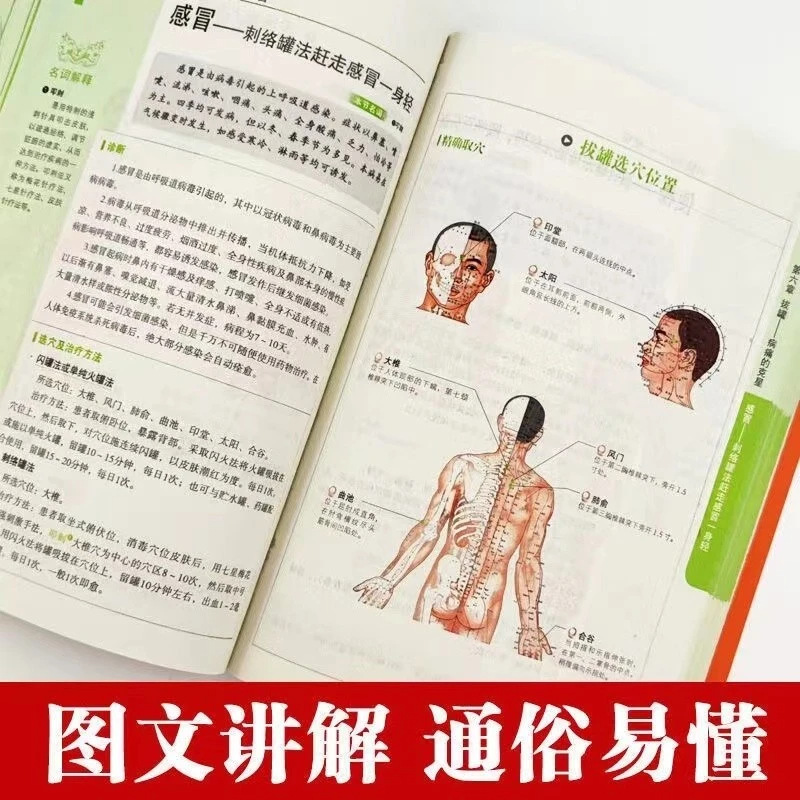 ชุดสุขภาพและเวลเนสแบบองค์รวม:  - Therapy Health And Wellness บทวิจารณ์และราคา
