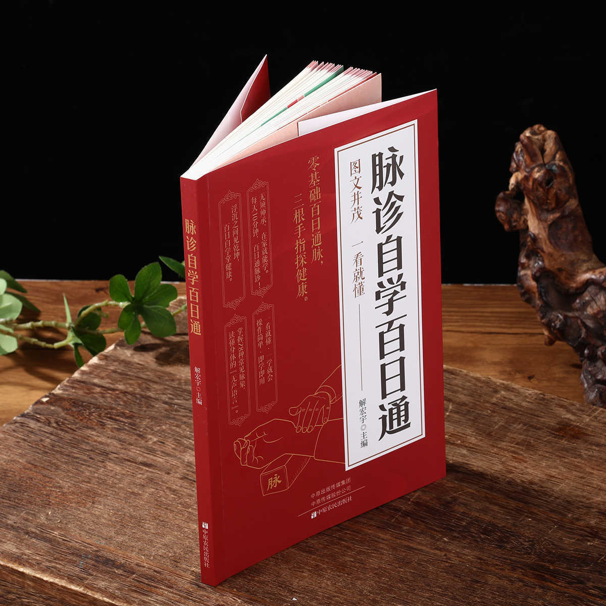 การวินิจฉัยชีพจรด้วยตนเอง หนัง - Health & Wellness Photos บทวิจารณ์และราคา